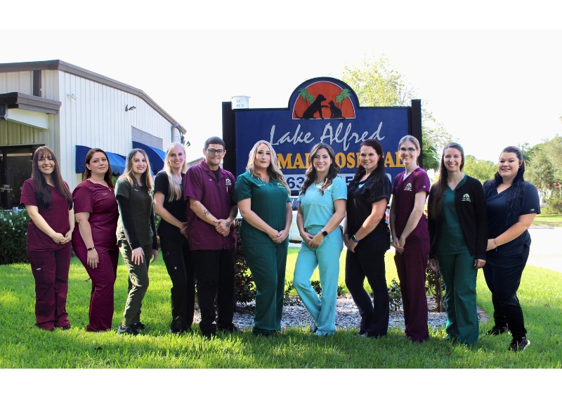 Lake Alfred Animal Hospital Lake Alfred Veterinarians